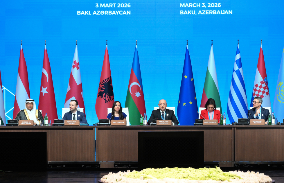 Лейла Алиева выступила на сессии «Проекты зеленой энергетики»