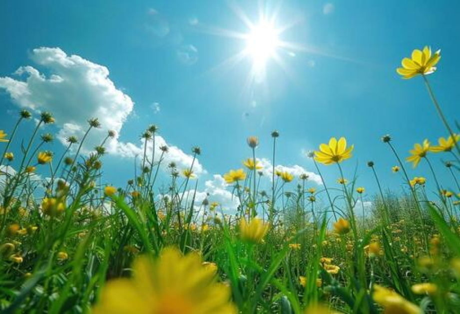 Sabah bəzi yerlərdə 25 dərəcə isti olacaq